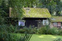 Ferienhaus - Ferienunterkunft in Walsrode (4 Personen)
