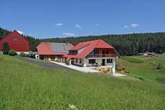 Ferienhaus - Ferienunterkunft in Tennenbronn (6 Personen)