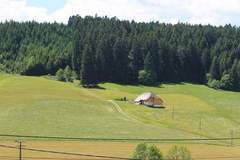 Ferienhaus - Ferienunterkunft in Titisee-Neustadt (4 Personen)