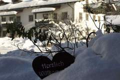 Ferienhaus - Ferienunterkunft in Geiersthal (4 Personen)