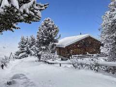 Ferienhaus - Ferienhaus Chalet Albarose - Vercorin