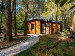 Ferienhaus - Ferienhaus De Wiltzangh - Zandborg Lodge | 6p