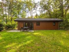 Ferienhaus - Ferienhaus De Wiltzangh - Sterrenborg Lodge | 4p