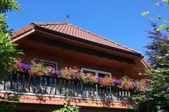 Ferienhaus - Ferienunterkunft in Hage (4 Personen)