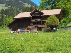 Ferienwohnung - Ferienwohnung Chalet Rüteli Appartement/Fewo, Dusche, WC, 1 Schlafraum 2-Zimmerwohnung