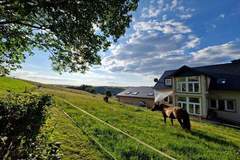 Ferienhaus - Ferienunterkunft in Plütscheid (9 Personen)