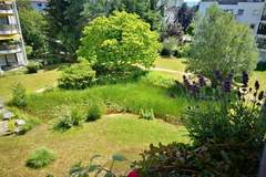 Ferienhaus - Ferienunterkunft in Radolfzell (2 Personen)