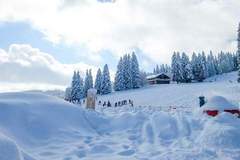Ferienhaus - Ferienunterkunft in Feldberg (4 Personen)
