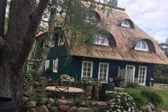 Ferienhaus - Ferienunterkunft in Born am Darß (5 Personen)