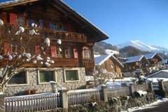 Ferienhaus - Ferienunterkunft in Brienz (4 Personen)