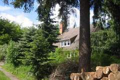 Ferienhaus - Ferienunterkunft in Waren (Müritz) (2 Personen)
