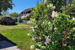 Ferienhaus - Ferienunterkunft in Prerow (4 Personen)