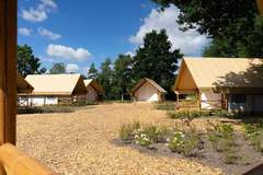Glamping tent Luxury 4 - Ferienunterkunft in Mol (4 Personen)