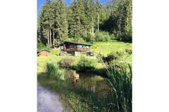 Ferienhaus - Ferienunterkunft in Silbertal (4 Personen)