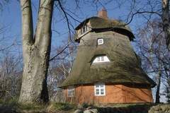 Ferienhaus - Ferienunterkunft in Wustrow (4 Personen)