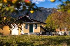 Ferienhaus - Ferienunterkunft in Ebensee (8 Personen)