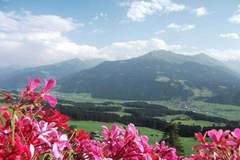 Ferienhaus - Ferienunterkunft in Mittersill (8 Personen)
