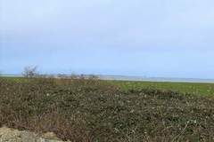 Ferienhaus - Ferienunterkunft in Wangerland (6 Personen)
