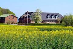 Ferienhaus - Ferienunterkunft in Westerholz (4 Personen)