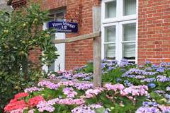 Ferienhaus - Ferienunterkunft in Wyk (4 Personen)