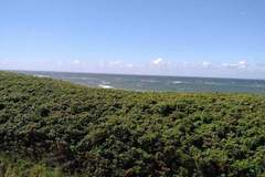 Ferienhaus - Ferienunterkunft in Westerland/Sylt (2 Personen)