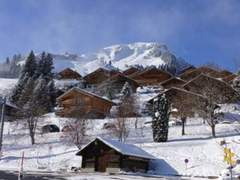 Ferienwohnung - Ferienwohnung Chalet Iris, appartement N°6, (Champoussin),