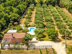 Ferienhaus - Ferienhaus Oliveto