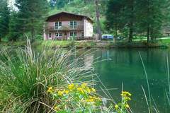 Ferienwohnung - Holiday flats Forellenhof Dabo  / Typ A - 2 Erw 55 qm - Ferienunterkunft in Dabo (2 Personen)