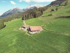 Ferienwohnung - Ferienwohnung Weidehütte Appartement/Fewo, WC, 2 Schlafräume