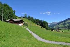 Ferienhaus - Ferienunterkunft in Lenk (8 Personen)