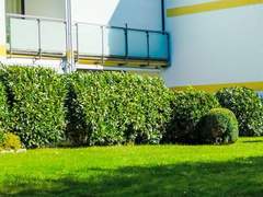 Ferienwohnung - Ferienwohnung Die NEUE am Hohen Ufer 44