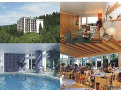 Hotel, Ferienwohnung - Hotel im Bayerischen Wald Haus Bayerwald