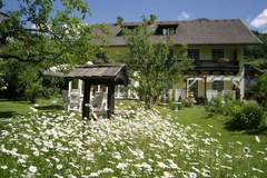 Ferienwohnung - Apartment Hannelore B / 4 P - Appartement in Feld am See (4 Personen)