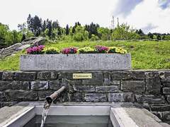 Bildbox_1