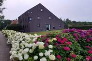 Ferienhaus - Lyts Sypenstien - Ferienunterkunft in Langweer (8 Personen)