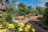 Ferienhaus - Villa Estia - Ferienunterkunft in Pagkalohori, Rethymno (4 Personen)