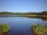 Ferienwohnung, Exklusive Unterkunft - Fewo mit vielen Extras in Schönlage