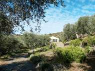 Ferienhaus - Ferienhaus Il Terebinto (IMP427)