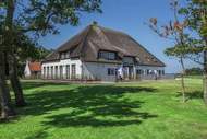 Bauernhof - App Hoeve Holland T4 - Ferienunterkunft in De Cocksdorp Texel (4 Personen)