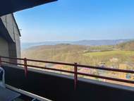 Ferienwohnung - Ferienwohnung Rheinblick (A1208)