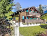 Ferienwohnung - Ferienwohnung, Chalet Chalet Bienli Mitte