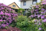 Ferienwohnung - Ferienwohnung Apelt - Ferienunterkunft in Waltershausen (4 Personen)