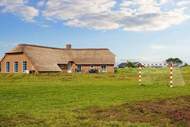 Ferienhaus - Ferienunterkunft in Ringkøbing (12 Personen)