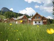 Ferienhaus - Ferienhaus Lodge Alpine Luxury