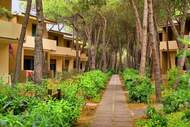 Ferienwohnung - Holiday residence Baia Verde Valledoria - 1 bedroom Gold - Appartement in Vallerdoria (4 Personen)