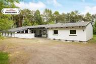 Ferienhaus - Ferienunterkunft in Sæby (14 Personen)