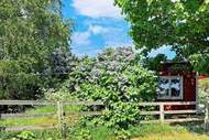 Ferienhaus - Ferienunterkunft in Gotlands Tofta (4 Personen)