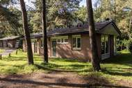 Parc Heihaas 3 - Ferienunterkunft in Putten (4 Personen)