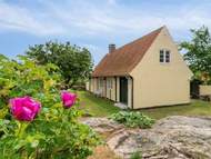 Ferienhaus - Ferienhaus Øde - 100m from the sea