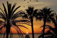 Ferienhaus - Avenida Europa - Ferienunterkunft in Malaga (5 Personen)